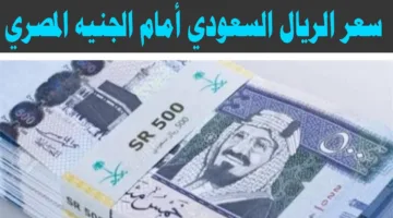 الاستقرار سيد الموقف.. سعر الريال السعودي اليوم الثلاثاء 22 أبريل 2025 داخل البنوك