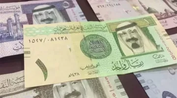 سعر الريال السعودي اليوم الثلاثاء 8 أبريل 2025 في منتصف جلسات التداول