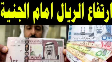 مفاجأة من العيار الثقيل.. سعر الريال السعودي اليوم في البنك الأهلي والبنوك الأخرى