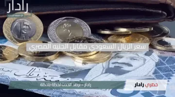 استعد للحج.. سعر الريال السعودي مقابل الجنيه المصري اليوم السبت 19 أبريل 2025 وحقيقة صعوده المنتظر