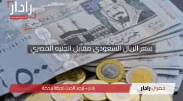 “هل ارتفع أم انخفض؟”.. سعر الريال السعودي مقابل الجنيه المصري والعملات الأجنبية اليوم الخميس 26 شوال 1446