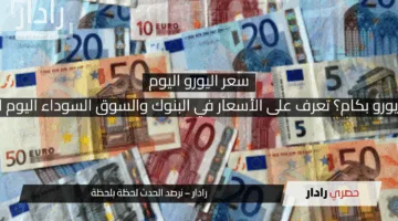 سعر اليورو اليوم: 50 يورو بكام؟ تعرف على الأسعار في البنوك والسوق السوداء اليوم السبت 19 أبريل 2025