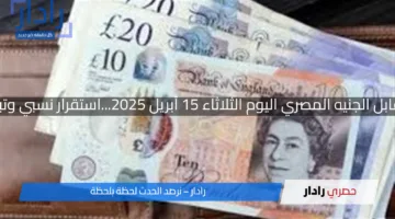سعر اليورو مقابل الجنيه المصري اليوم الثلاثاء 15 أبريل 2025…استقرار نسبي وتباين بين البنوك