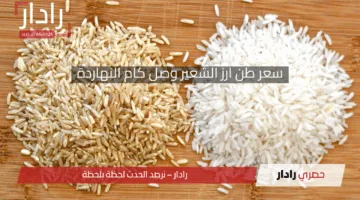 سعر طن أرز الشعير وصل كام النهاردة.. آخر تحديث لأسعار كافة الحبوب العريض والرفيع منها اليوم الخميس 17 إبريل 2025