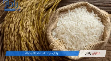 هل تشتري الآن أم تنتظر؟ سعر طن الأرز الشعير	اليوم 23 أبريل 2025 في السوق المحلي