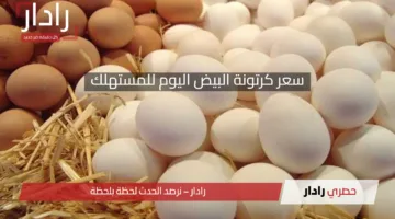 سعر كرتونة البيض اليوم للمستهلك: استقرار نسبي في الأسواق المحلية