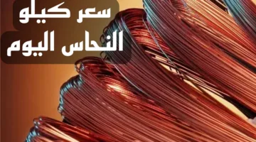 استقرار سعر كيلو النحاس اليوم الإثنين الموافق 7 أبريل 2025 داخل بورصة المعادن