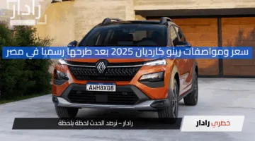 “هتكسر السوق”.. سعر ومواصفات رينو كارديان 2025 بعد طرحها رسميا في مصر