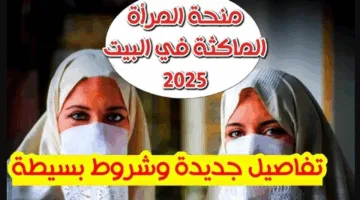 شروط التقديم في منحة المرأة الماكثة 2025 وأبرز خطوات التسجيل عبر anem.dz