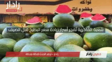 «4 بطيخات بـ1000 جنيه».. شعبة الفاكهة تُفجر أسرار زيادة سعر البطيخ قبل الصيف