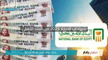 “استثمر بذكاء”.. شهادات الادخار 2025 من البنك الأهلي تقدم أعلى عائد 27% بعد قرار المركزي