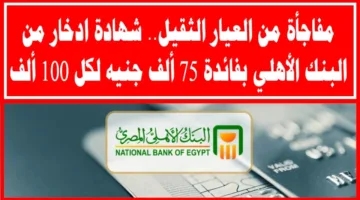 أحدث شهادات البنك الأهلي المصري بعد خفض سعر الفائدة | استثمار آمن بعائد يصل إلى 30%