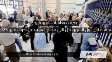 “معاشك نازل أول الشهر.. كل اللي محتاج تعرفه عن صرف مايو 2025”