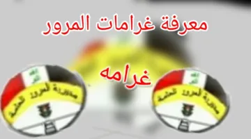 رابط دفع غرامات المرور بالرقم الألماني في العراق عبر ur.gov.iq وطرق الاستعلام