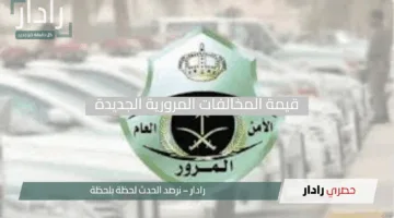 انتهت المهلة!.. المرور يكشف قيمة المخالفات المرورية الجديدة بدءًا من اليوم بعد انتهاء التخفيض