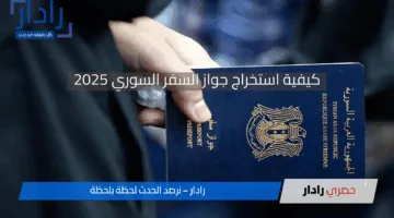 استخراج جواز السفر السوري إلكترونيًا 2025.. خطوات التقديم والمستندات وأهم الشروط المطلوبة