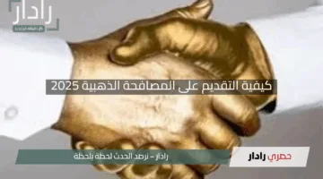 “لا تفوت الدعم!”.. كيفية التقديم على المصافحة الذهبية 2025 مع الشروط والمستندات اللازمة لفرصة ذهبية