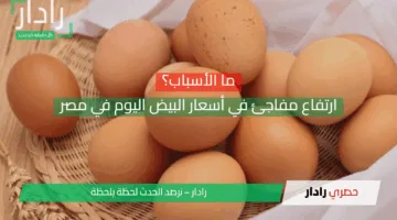 ارتفاع مفاجئ في أسعار البيض اليوم في مصر 29 أبريل 2025: ما الأسباب؟