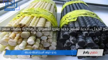 مفاجأة تثير الجدل…!حديد تسليح جديد يغزو الأسواق المصرية بنصف سعر التقليدي