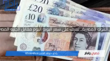 مفاجأة غير متوقعة في البنوك المصرية.. تعرف على سعر اليورو اليوم مقابل الجنيه المصري الأحد 13 أبريل 2025