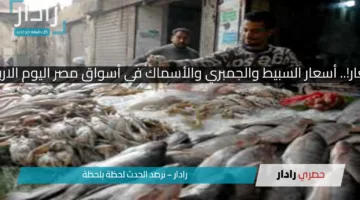 مفاجأة في الاسعار!.. أسعار السبيط والجمبري والأسماك في أسواق مصر اليوم الاربعاء 9 أبريل 2025