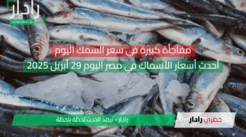 مفاجأة كبيرة في سعر السمك اليوم… أحدث أسعار الأسماك في مصر اليوم 29 أبريل 2025