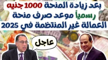 تفاصيل منحة العمالة الغير منتظمة عيد العمال 2025.. خطوات الاستعلام والتسجيل عبر manpower.gov.eg