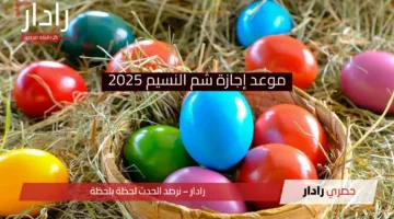 رسميًا.. مجلس الوزراء يُعلن موعد إجازة شم النسيم 2025 لجميع العاملين بالحكومة والقطاع الخاص