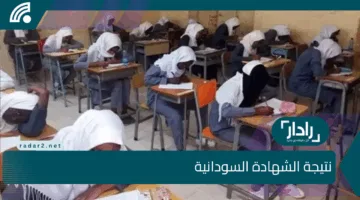 اعرف درجاتك الان .. استعلام عن نتيجة امتحان الشهادة السودانية بالاسم ورقم الجلوس من خلال mohe.gov.sd
