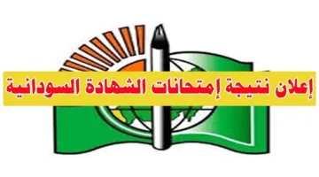 استعلم الآن.. رابط الاستعلام عن نتيجه الشهاده السودانيه 2025 عبر mohe.gov.sd