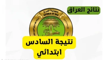 ظهرت حالا نتائج السادس الابتدائي 2025 دور اول بالعراق من موقع وزارة التربية والتعليم العراقية كل المحافظات