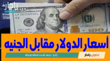 “التحديثات الأخيرة”.. استقرار نسبي في سعر الدولار مقابل الجنيه المصري وسط تقلبات الأسواق العالمية