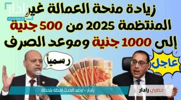 “بكل سهولة”.. الاستعلام عن منحة العمالة الغير منتظمة 2025: طريقة التقديم والشروط عبر manpower.gov.eg