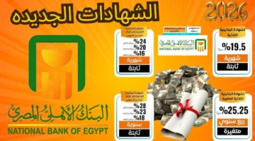 “متفوتش الفرصة” شهادات البنك الأهلي المصري 2025.. فرص استثمارية بعوائد مرتفعة تصل إلى 24%