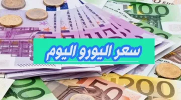 “هبوط الأوروبي”.. سعر اليورو اليوم في مصر.. تحديث جديد من البنك الأهلي للبيع والشراء