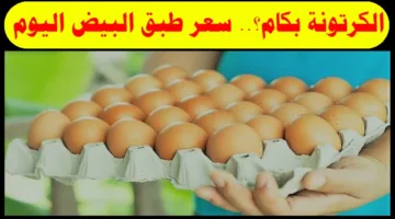 “احمر وبلدي وابيض” سعر كرتونة البيض اليوم في الأسواق المصرية وبورصة الدواجن الرئيسية