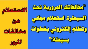 “إعرف مخالفتك” الاستعلام عن مخالفات المرور الكترونيًا عبر بوابة مصر الرقيمة digital.gov.eg برقم اللوحة