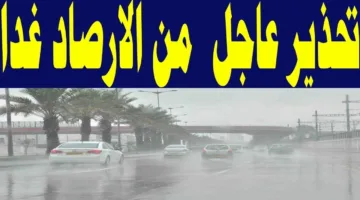 “امطار رعدية” تحذير عاجل من الأرصاد بشأن حالة الطقس غدا الثلاثاء.. متخرجوش الا للضرورة