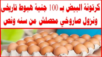 بعد هبوط الفراخ.. سعر البيض الأحمر اليوم في بورصة الدواجن والأسواق المصرية للمستهلكين