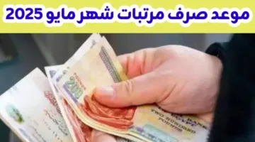 المالية تُقرر تبكير موعد صرف مرتبات شهر مايو 2025 لعاملي القطاع الحكومي.. إعرف هتقبض امتى