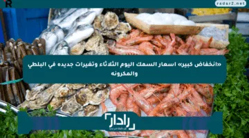 «انخفاض كبير» أسعار السمك اليوم الثلاثاء وتغيرات جديدة في البلطي والمكرونة