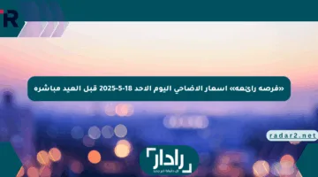 «فرصة رائعة» أسعار الأضاحي اليوم الأحد 18-5-2025 قبل العيد مباشرة