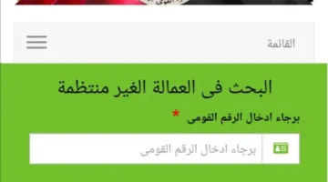 رسميًا.. وزارة القوى العاملة تعلن استمرار صرف منحة العماله الغير منتظمه 2025 وخطوات الاستعلام عبر manpower.gov.eg