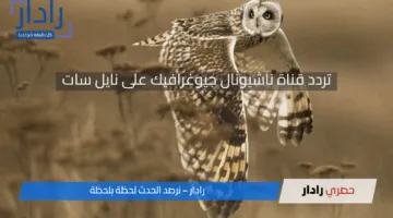 «اكتشف الآن» تردد قناة ناشيونال جيوغرافيك الجديد لمتابعة أفضل برامج الطبيعة