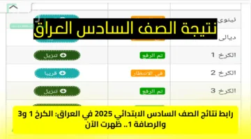 رابط نتائج الصف السادس الابتدائي 2025 في العراق: الكرخ 1 و3 والرصافة 1.. ظهرت الآن