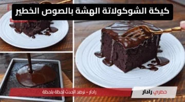 كيكة الشوكولاتة الهشة بالصوص الرهيب .. خطوات سهلة ومكونات اقتصادية من مطبخك