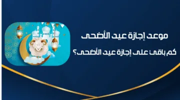 “كل عام وأنتم بخير”.. موعد عيد الأضحى 2025 وغرة ذو الحجة 1446هـ وفقًا للحسابات الفلكية