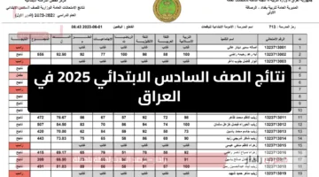 استعلام مبسط.. نتائج الصف السادس الابتدائي 2025 في العراق عبر موقع وزارة التعليم و”نتائجنا”