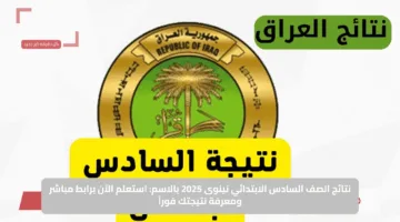 الآن.. رابط نتائج السادس الابتدائي 2025 الدور الأول في العراق عبر موقع نتائجنا ووزارة التربية