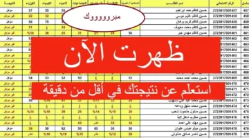احصل الآن بالرقم الامتحاني على نتائج الصف السادس الابتدائي دور أول العراق عبر نتائجنا/ملازمنا